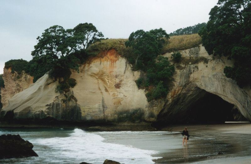 Cathedral cove formation beach